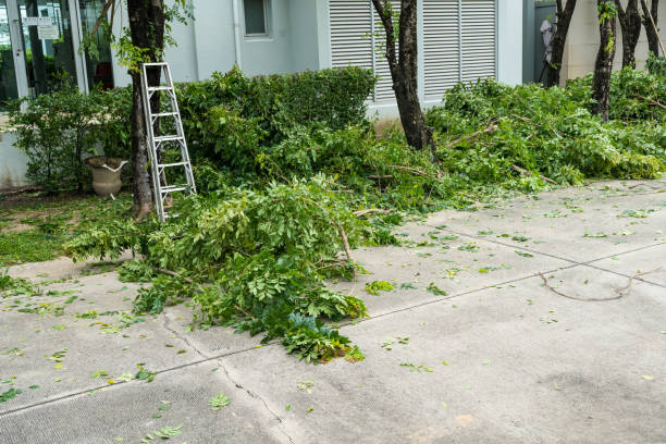 Spanish Fort, AL Tree Care Services Company